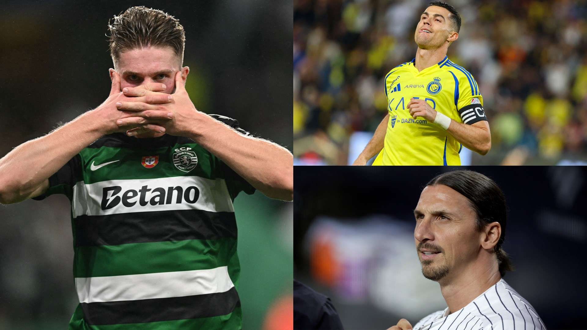 它們展現的 它們展現的