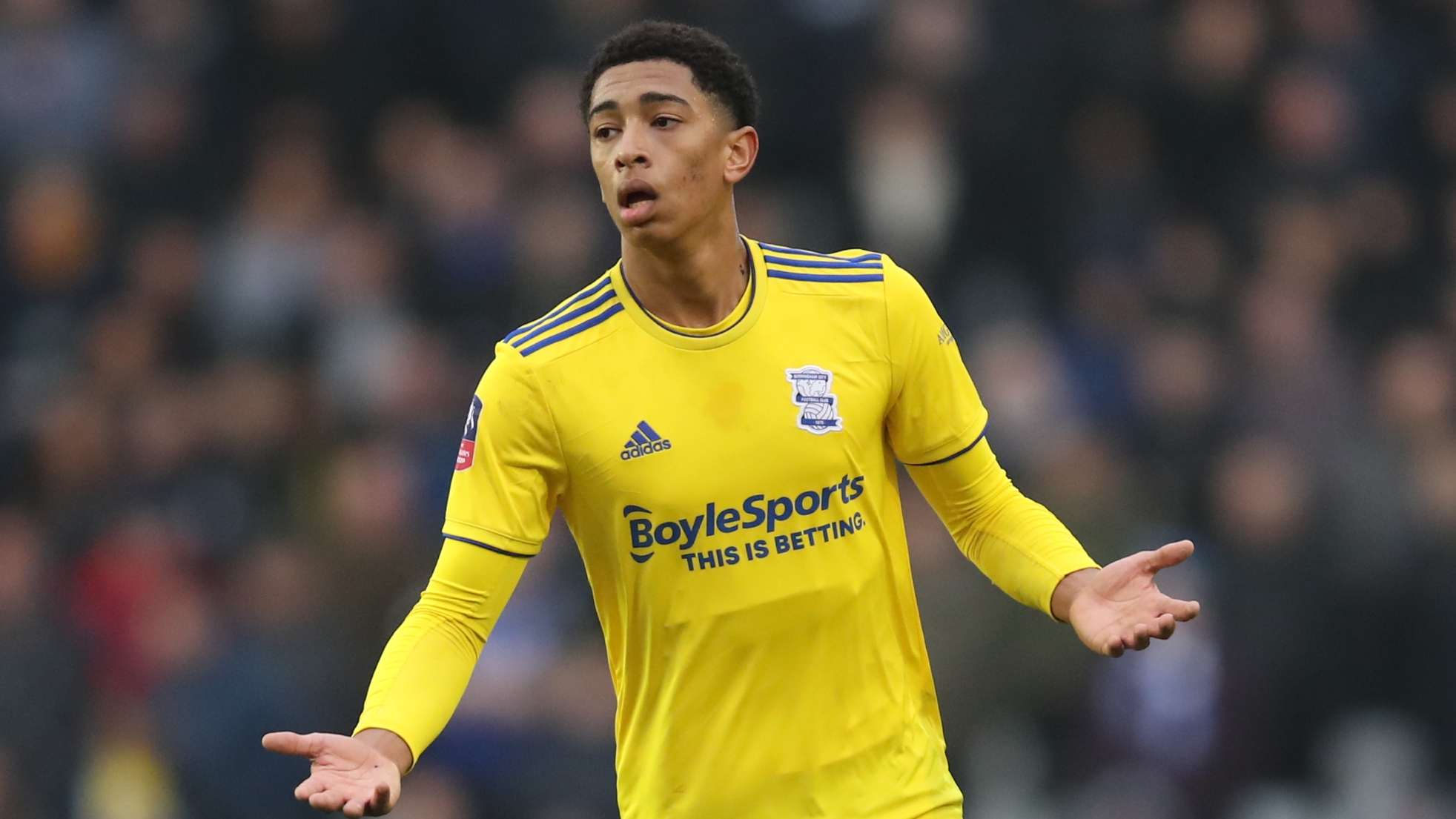 你解析其具 你解析其具